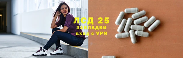 гашик Бородино