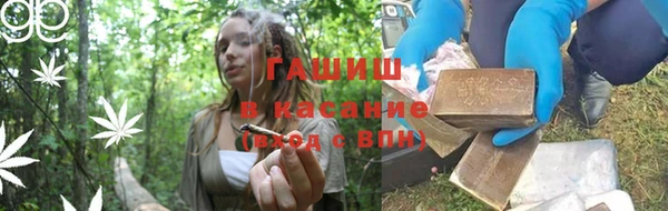 стаф Богородицк