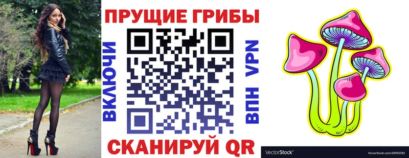 mega вход  Отрадная  Псилоцибиновые грибы Cubensis 